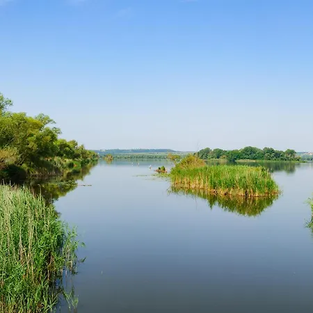 In - Balaton 18986 Nyaraló Keszthely