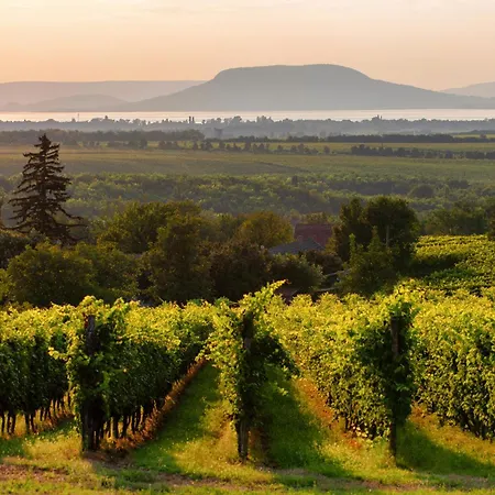 بيت للعطل In - Balaton 18986