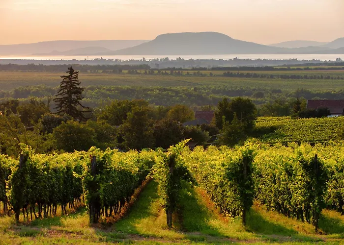 בית נופש In - Balaton 18986